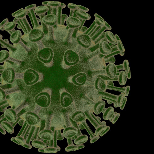 Tapeta virus