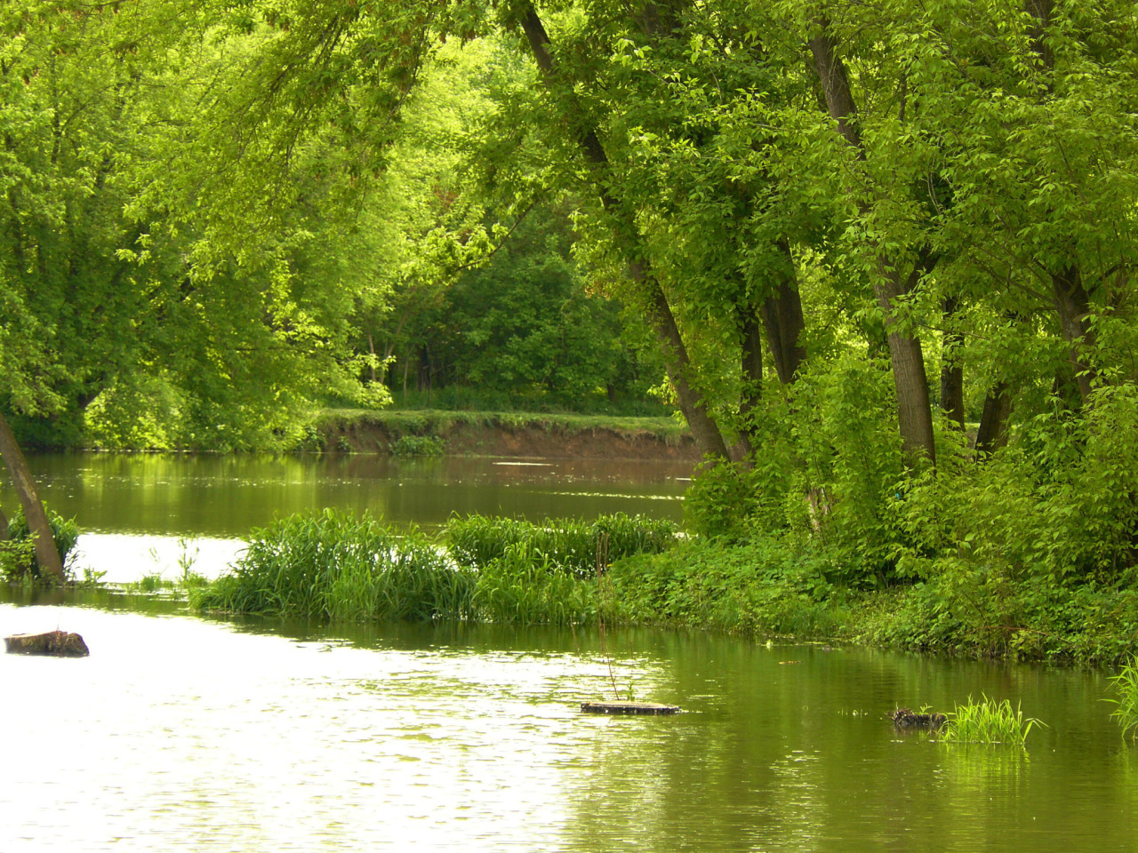 Tapeta vodni_laguna