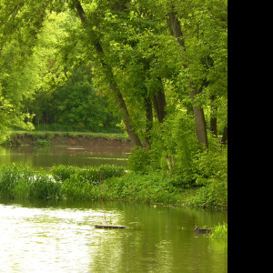 Tapeta vodni_laguna