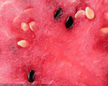 Tapeta: Vodn� meloun 2