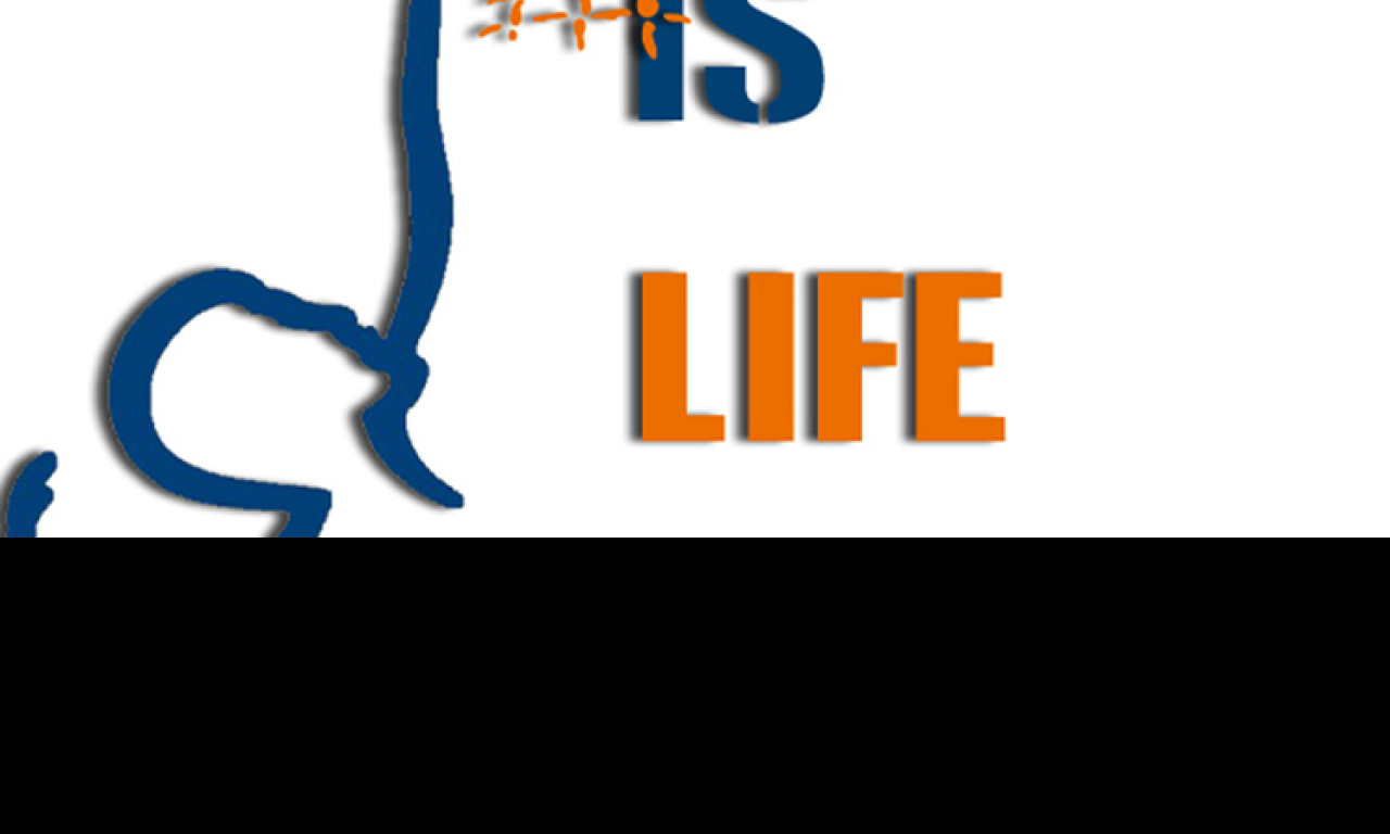 Tapeta volleyball_is_life