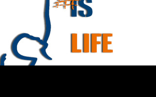 Tapeta volleyball_is_life