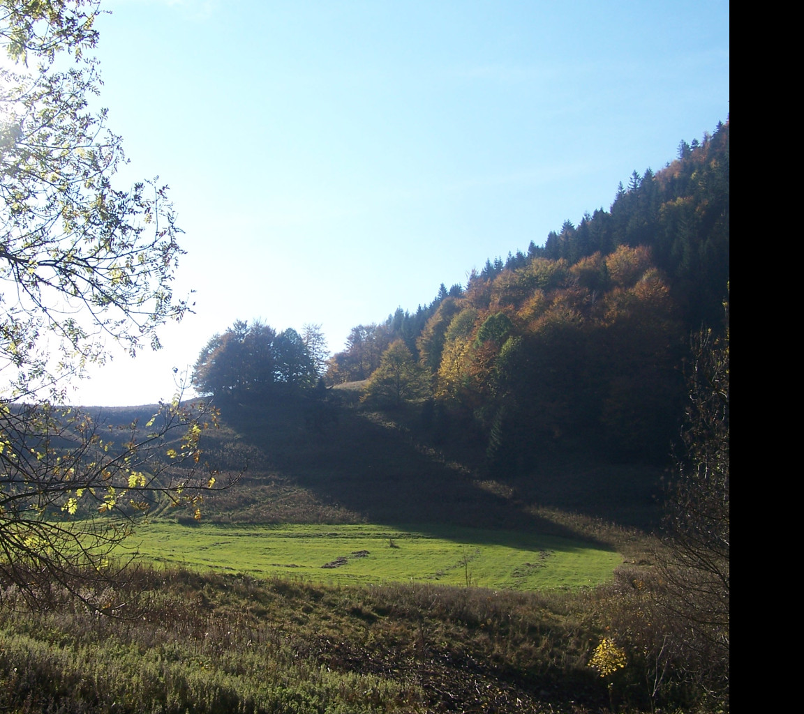 Tapeta vratna_dolina