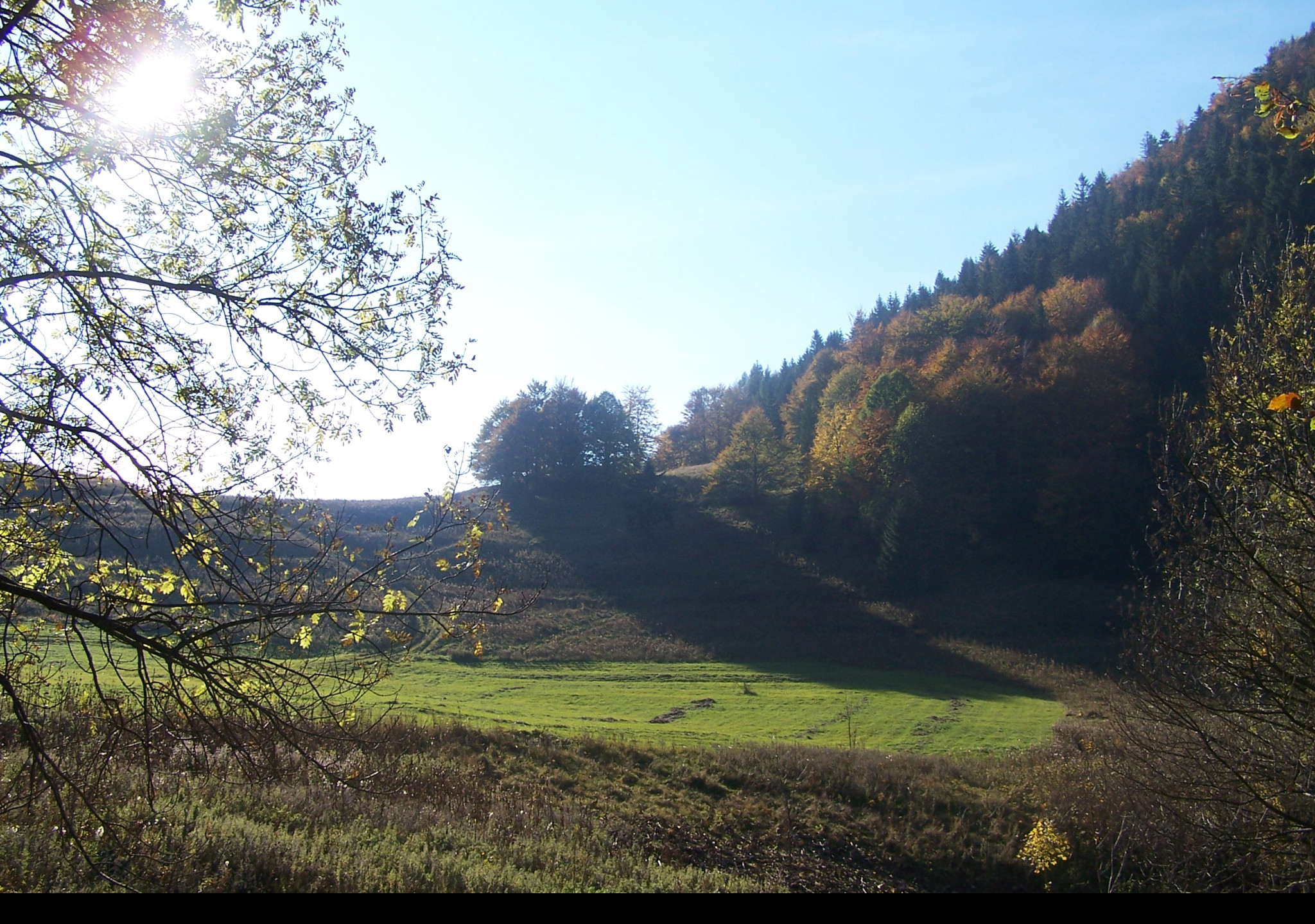 Tapeta vratna_dolina