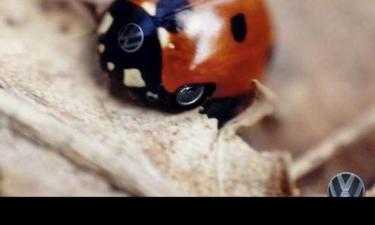 Tapeta vwberuska