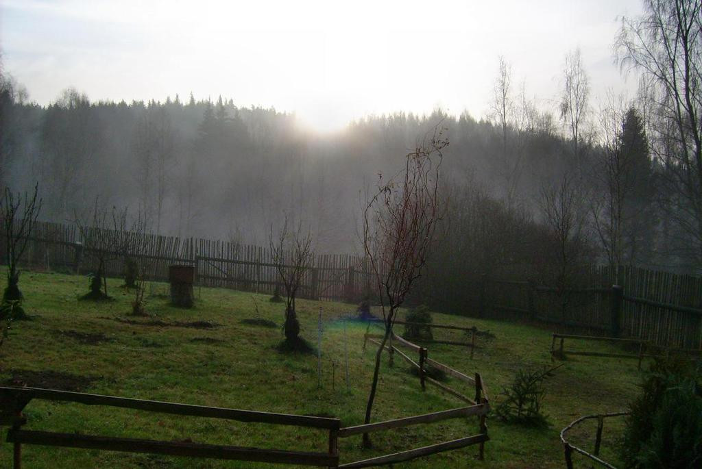 Tapeta vychod_slunce_nad_lesem