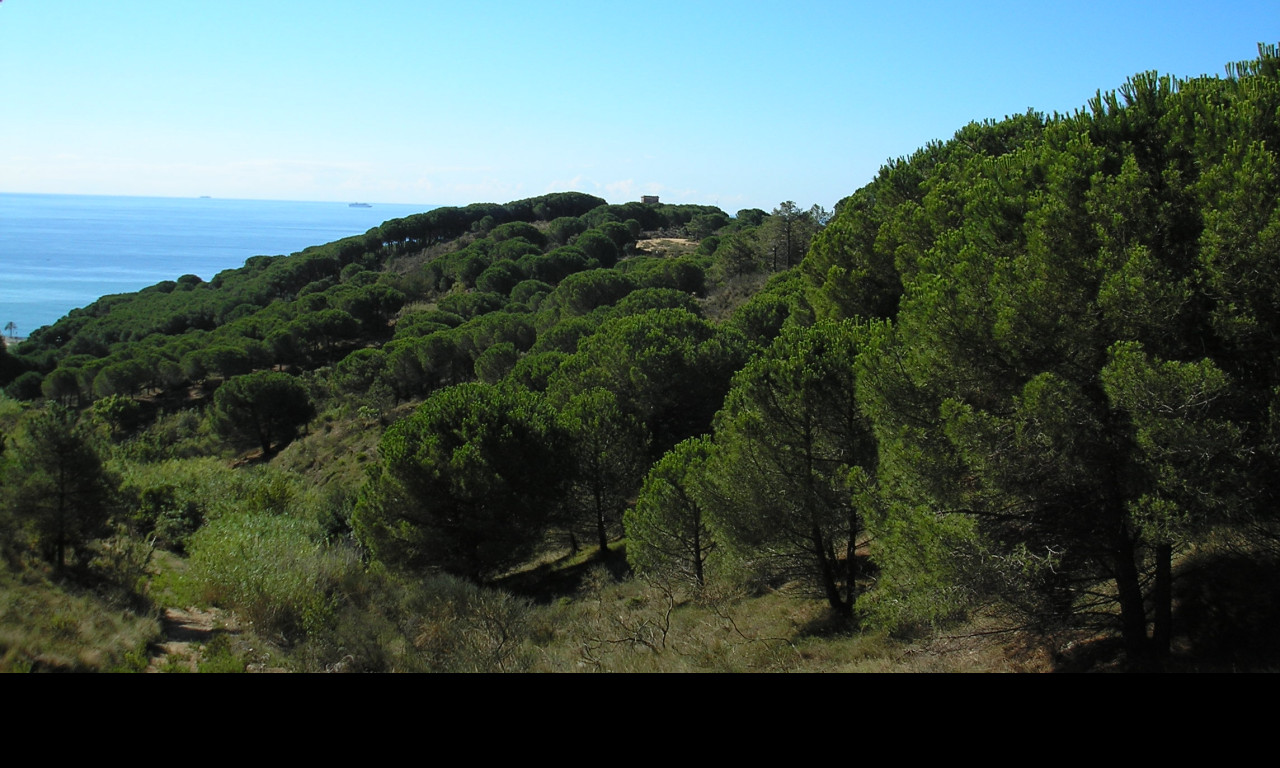 Tapeta vyhled_na_more_6_les_torretes