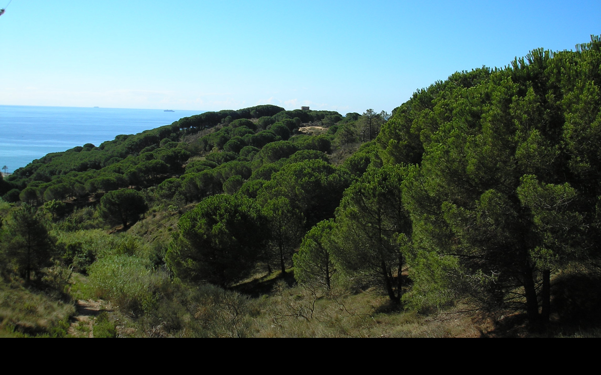 Tapeta vyhled_na_more_6_les_torretes