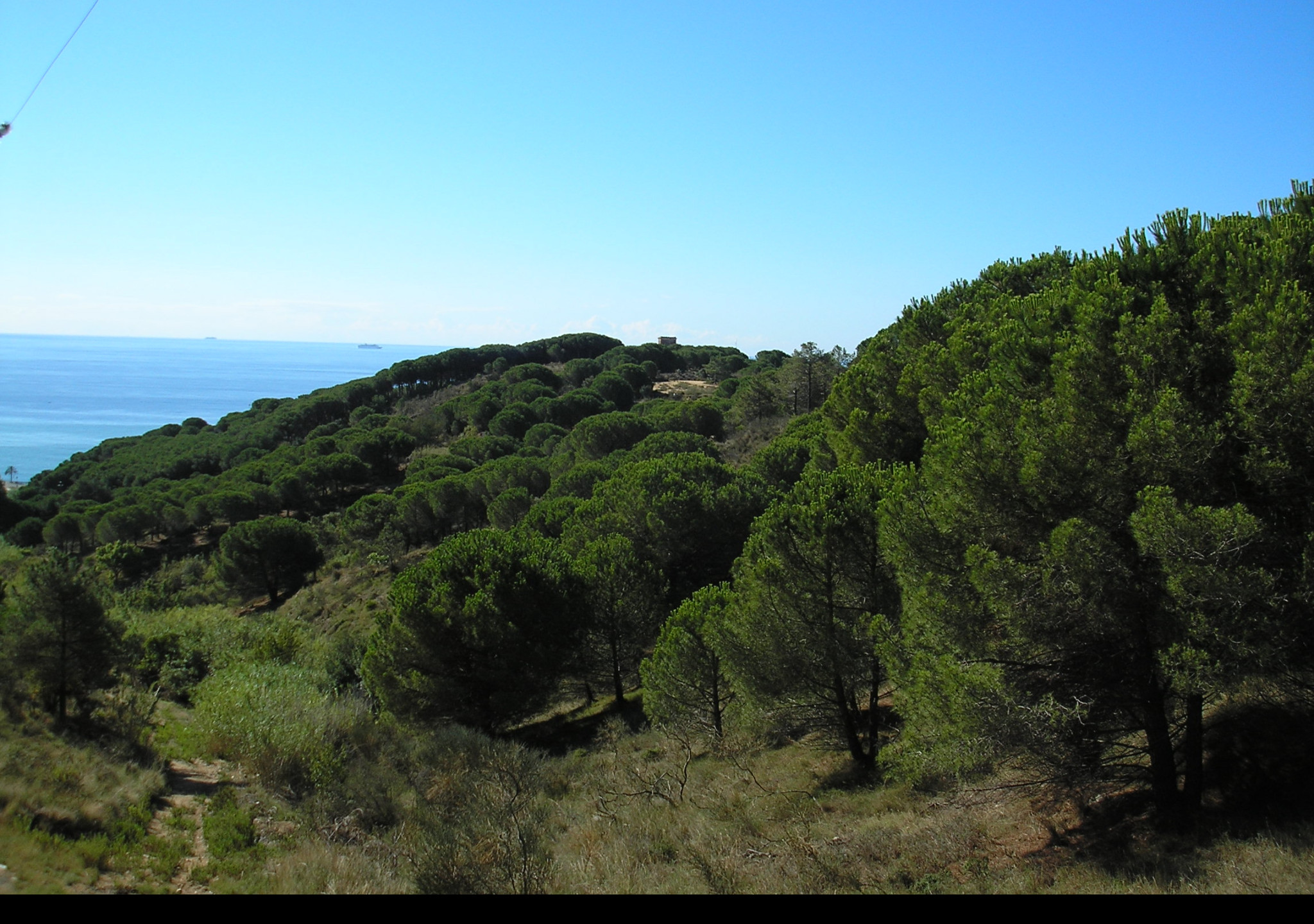 Tapeta vyhled_na_more_6_les_torretes