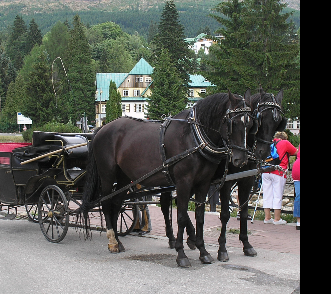 Tapeta vyletni_povoz_spindleruv_mlyn
