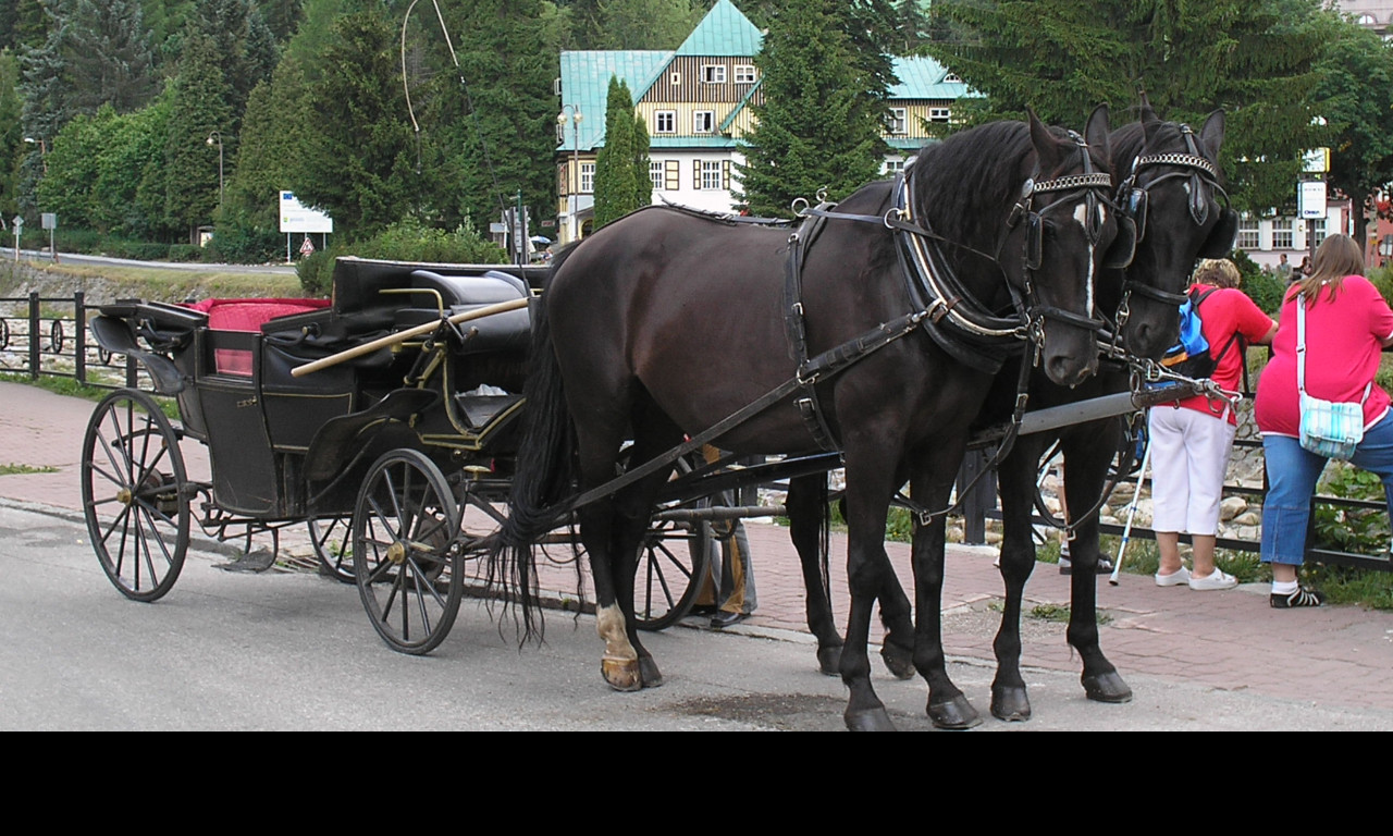 Tapeta vyletni_povoz_spindleruv_mlyn
