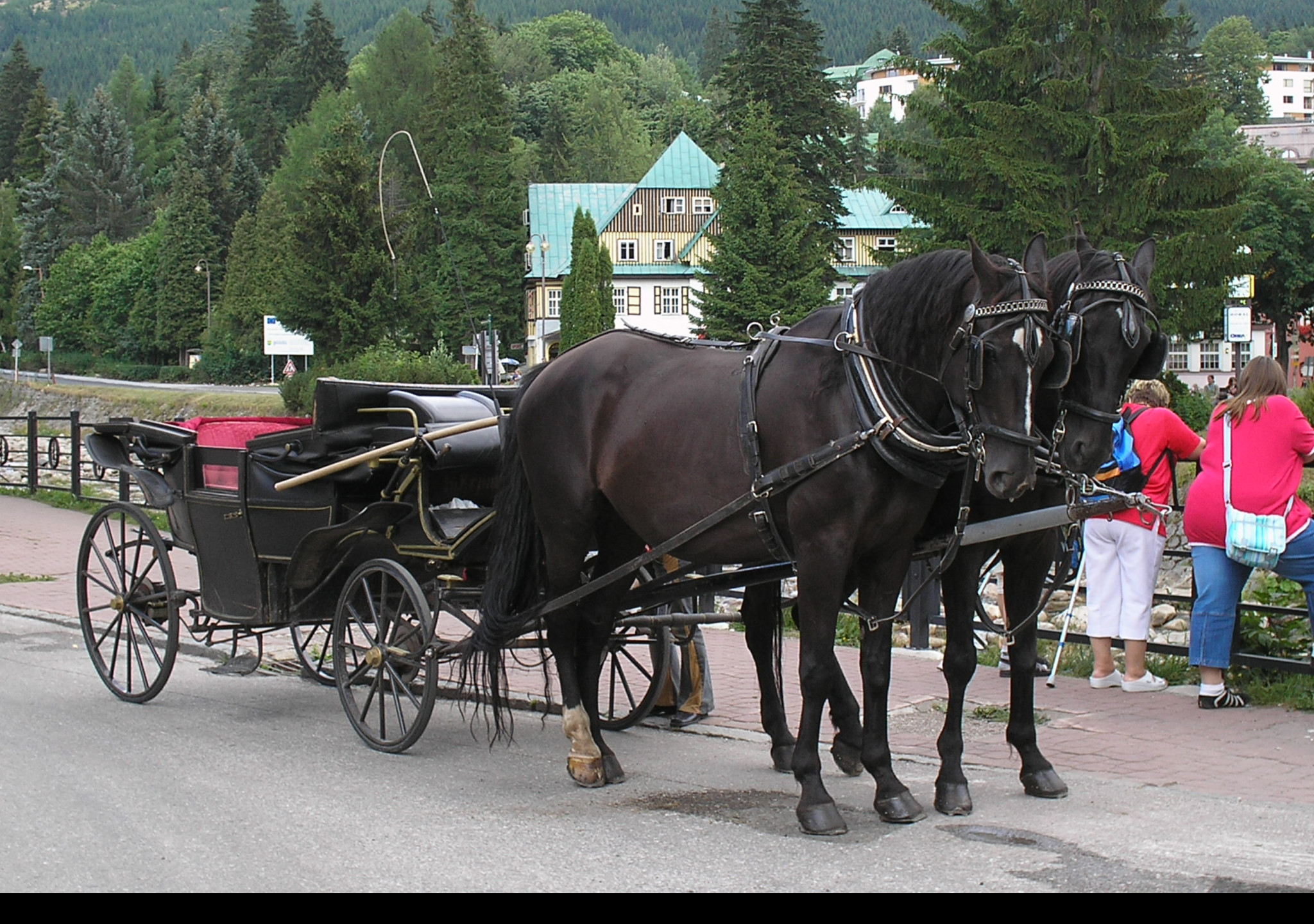 Tapeta vyletni_povoz_spindleruv_mlyn