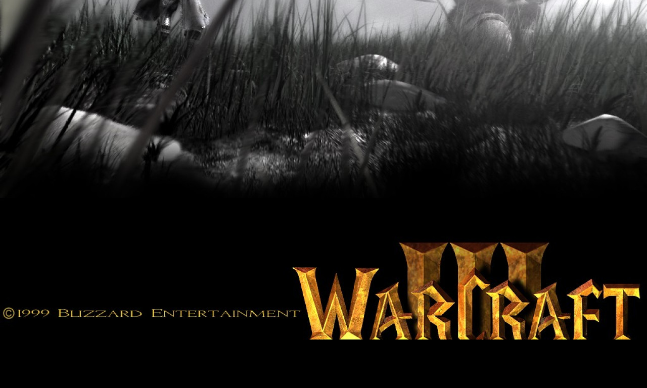 Tapeta warcraft37