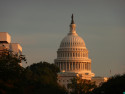 Tapeta Washington Capitol