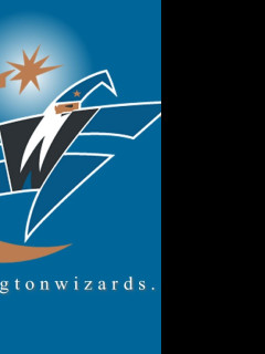 Tapeta washingtonwizards4