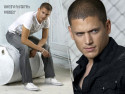 Tapeta Wentworth Miller