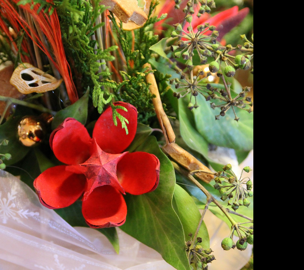 Tapeta z_floristicke_vystavy1