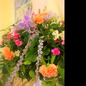 Tapeta z_floristicke_vystavy14