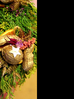 Tapeta z_floristicke_vystavy_8