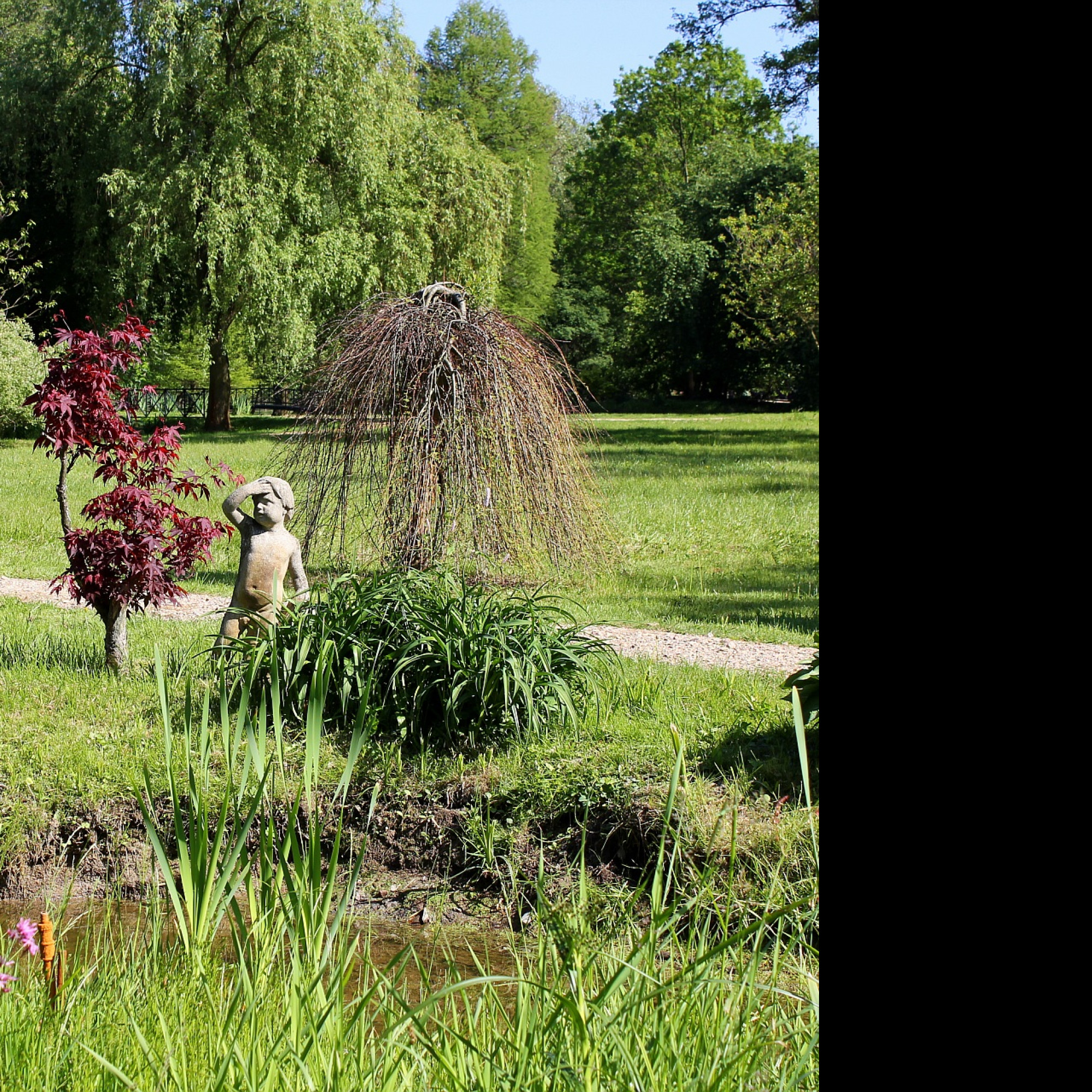 Tapeta zamecky_park_v_castolovicich