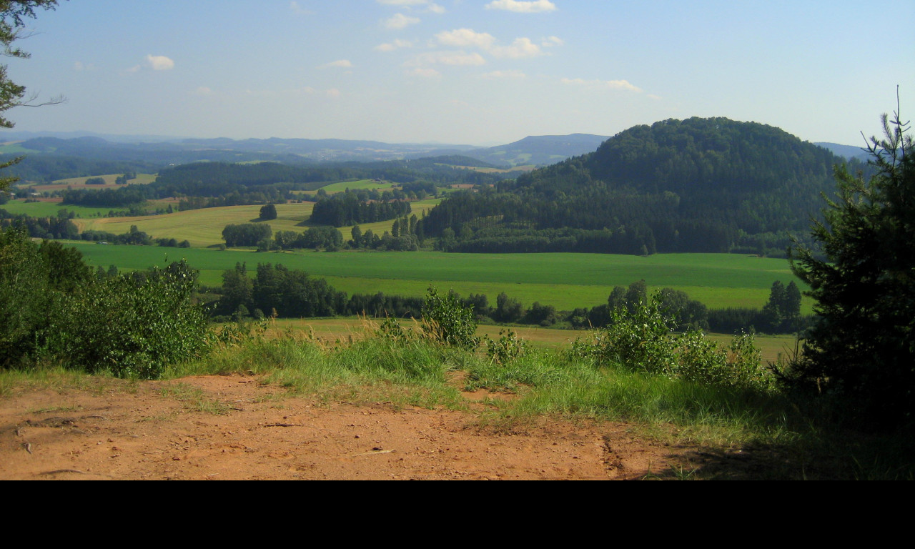 Tapeta zampach16