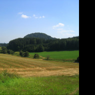 Tapeta zampach18