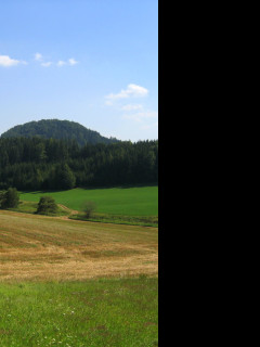 Tapeta zampach18