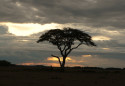Tapeta Západ slunce v africe