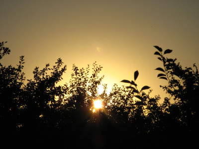 Tapeta: zapadajc slunce