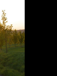 Tapeta zapadani