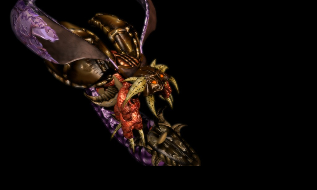 Tapeta zergdevourer