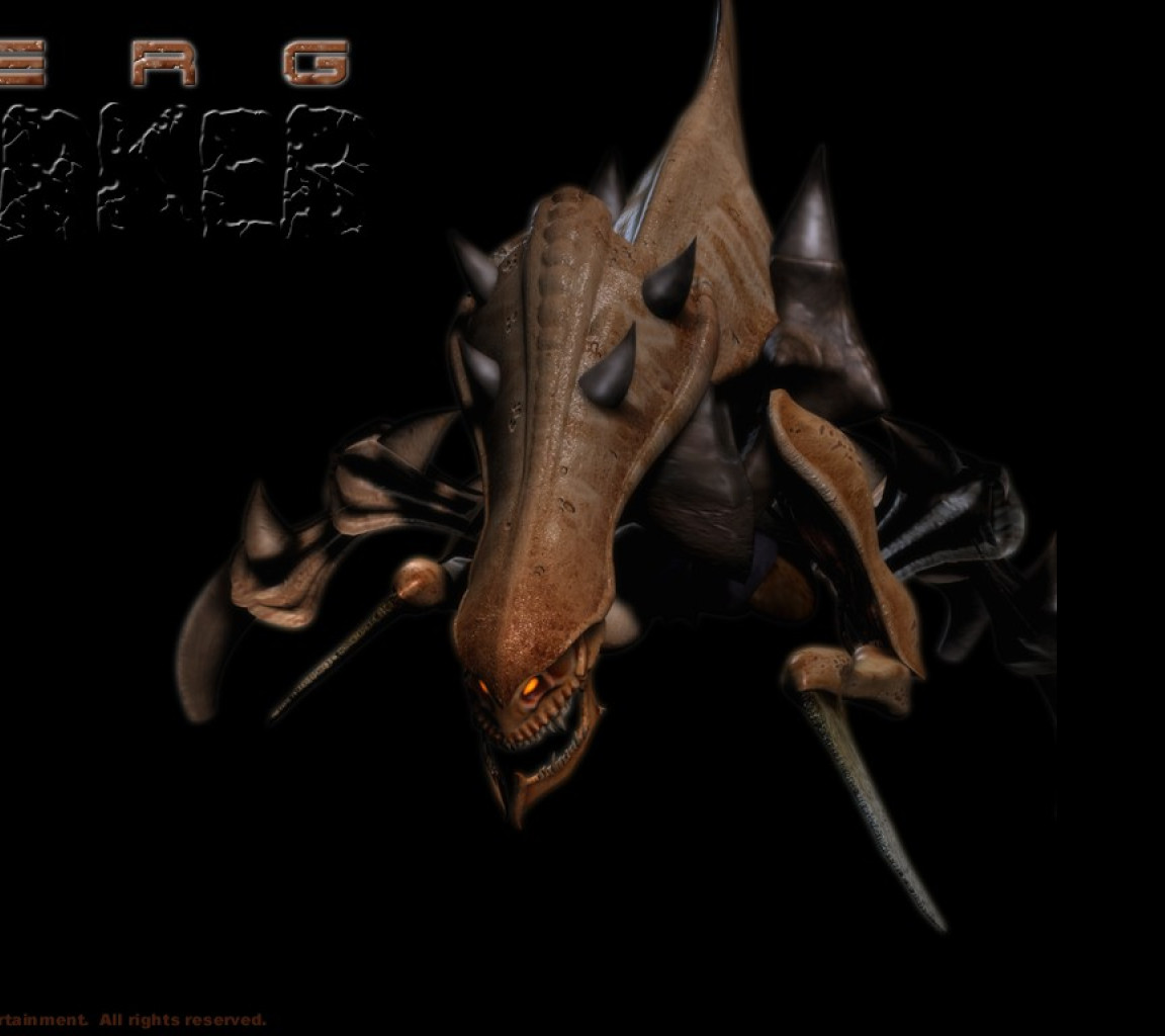 Tapeta zerglurker