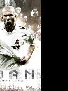 Tapeta zidane