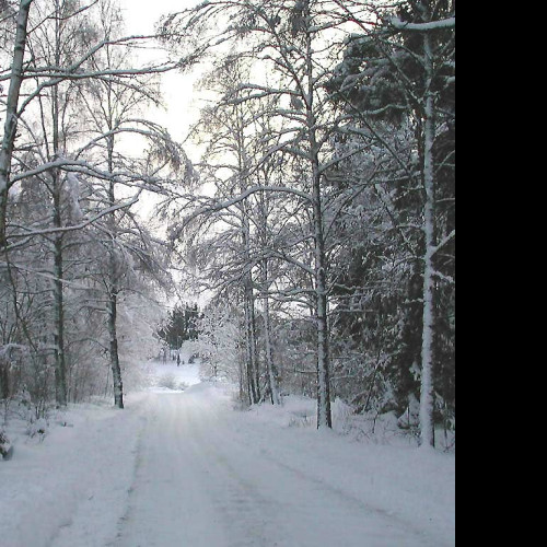 Tapeta zimasvedska19