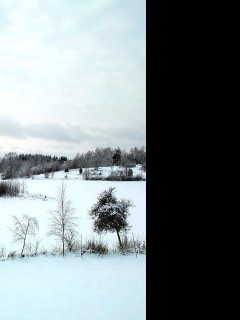 Tapeta zimasvedska3