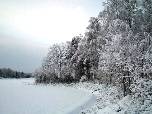 Tapeta zimasvedska6