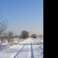 Tapeta zimni_cesta
