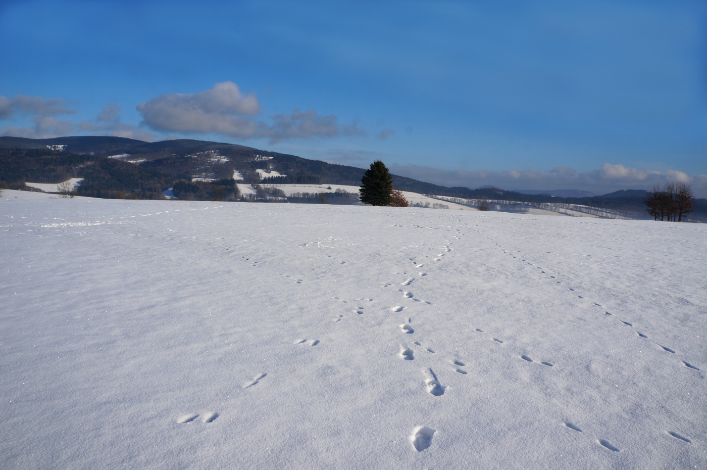 Tapeta zimni_krajina_krkonose