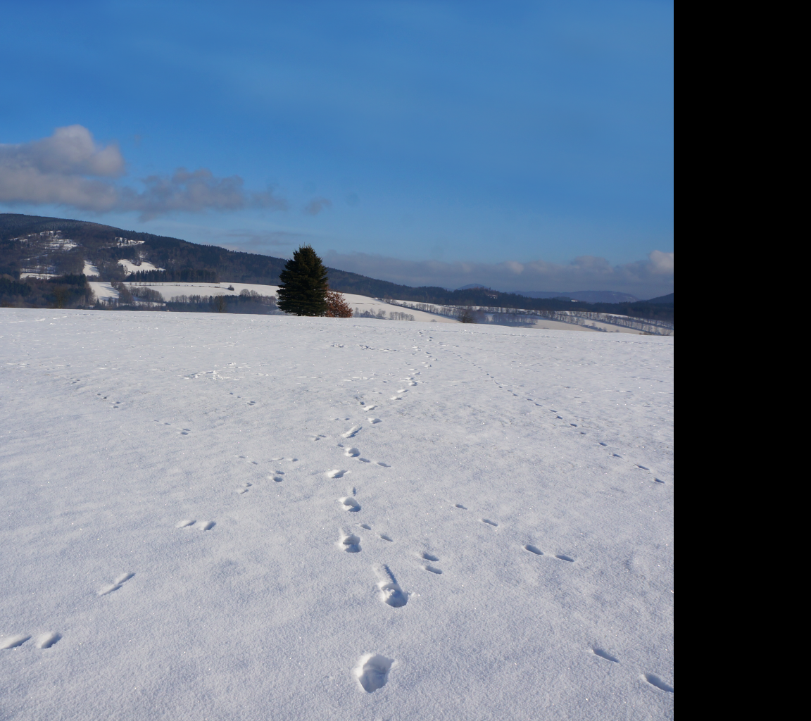 Tapeta zimni_krajina_krkonose