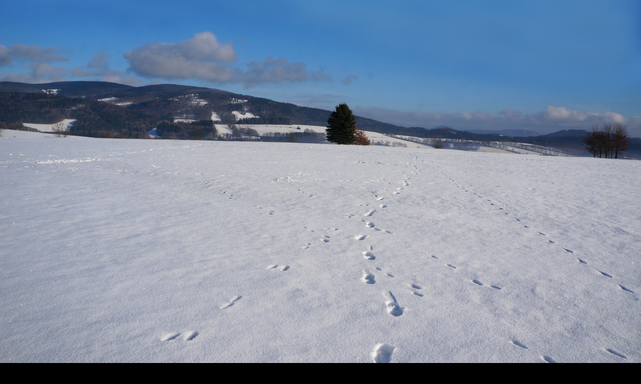 Tapeta zimni_krajina_krkonose