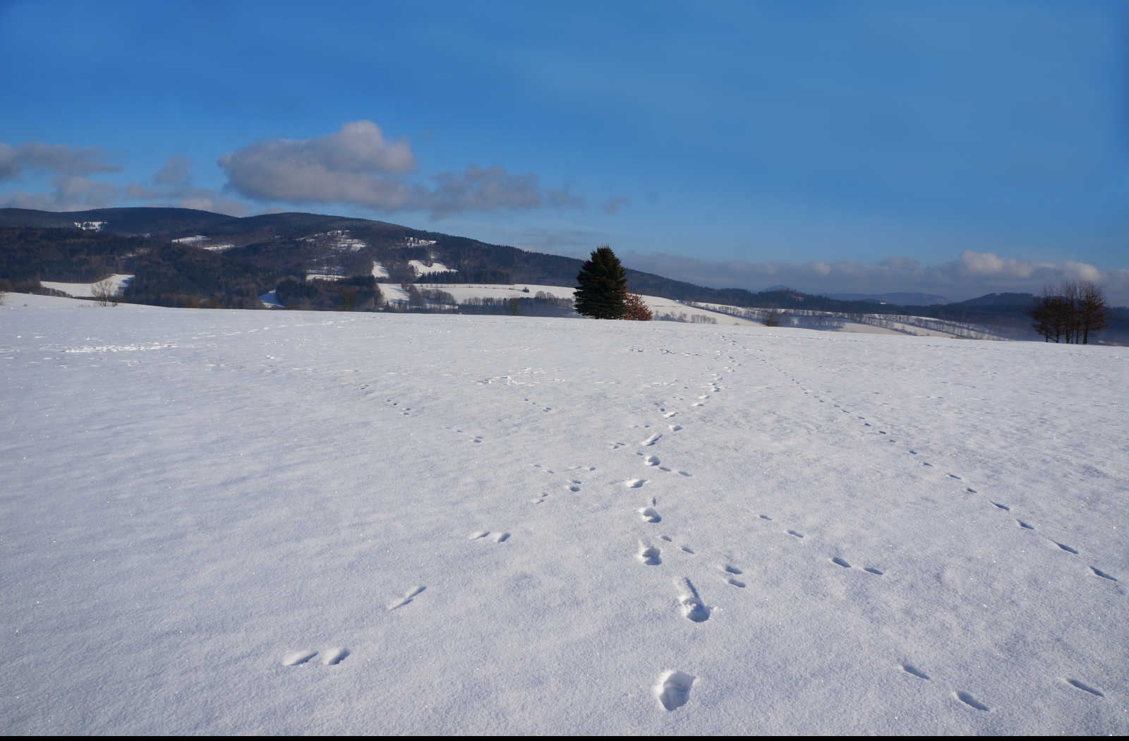 Tapeta zimni_krajina_krkonose