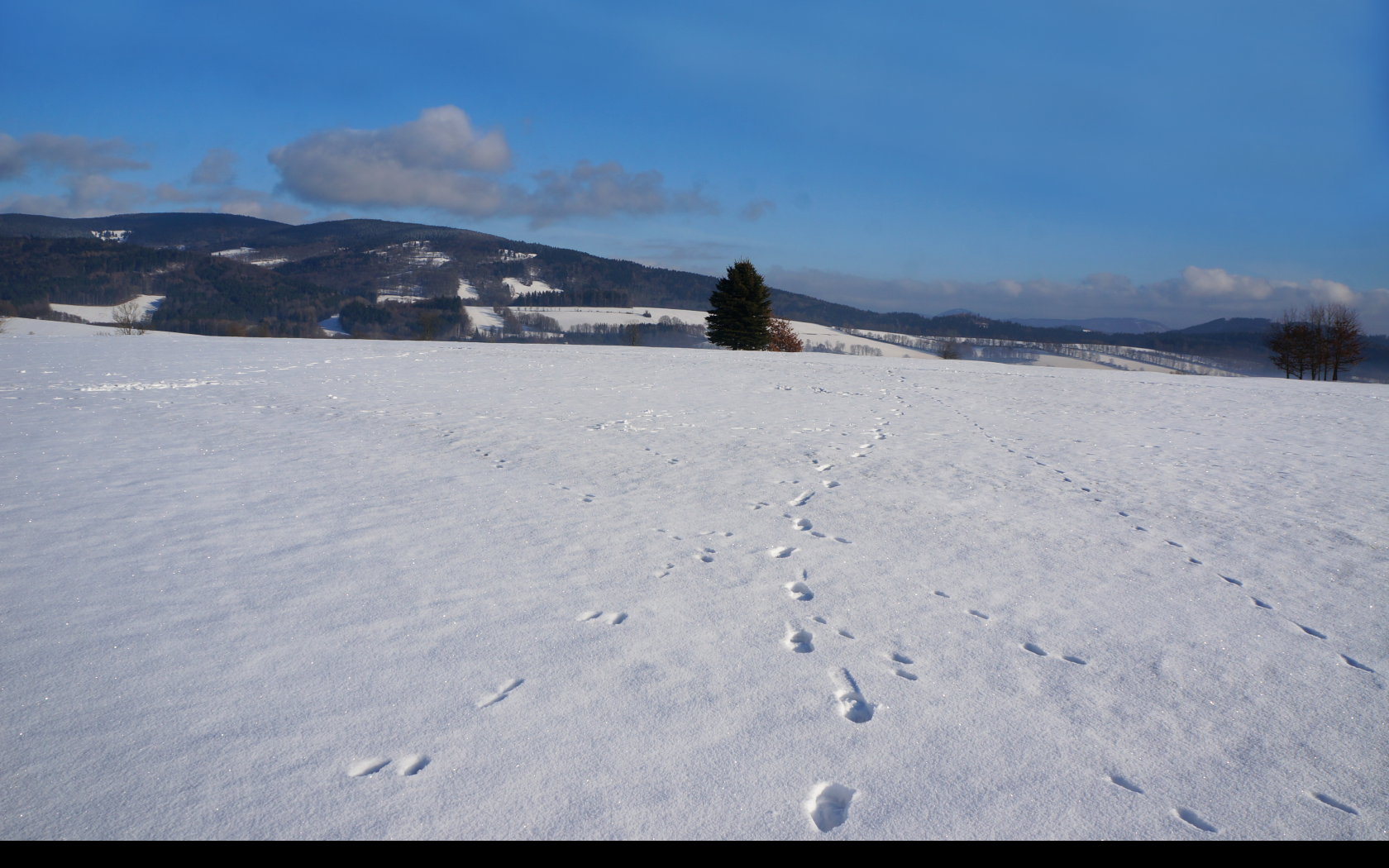 Tapeta zimni_krajina_krkonose