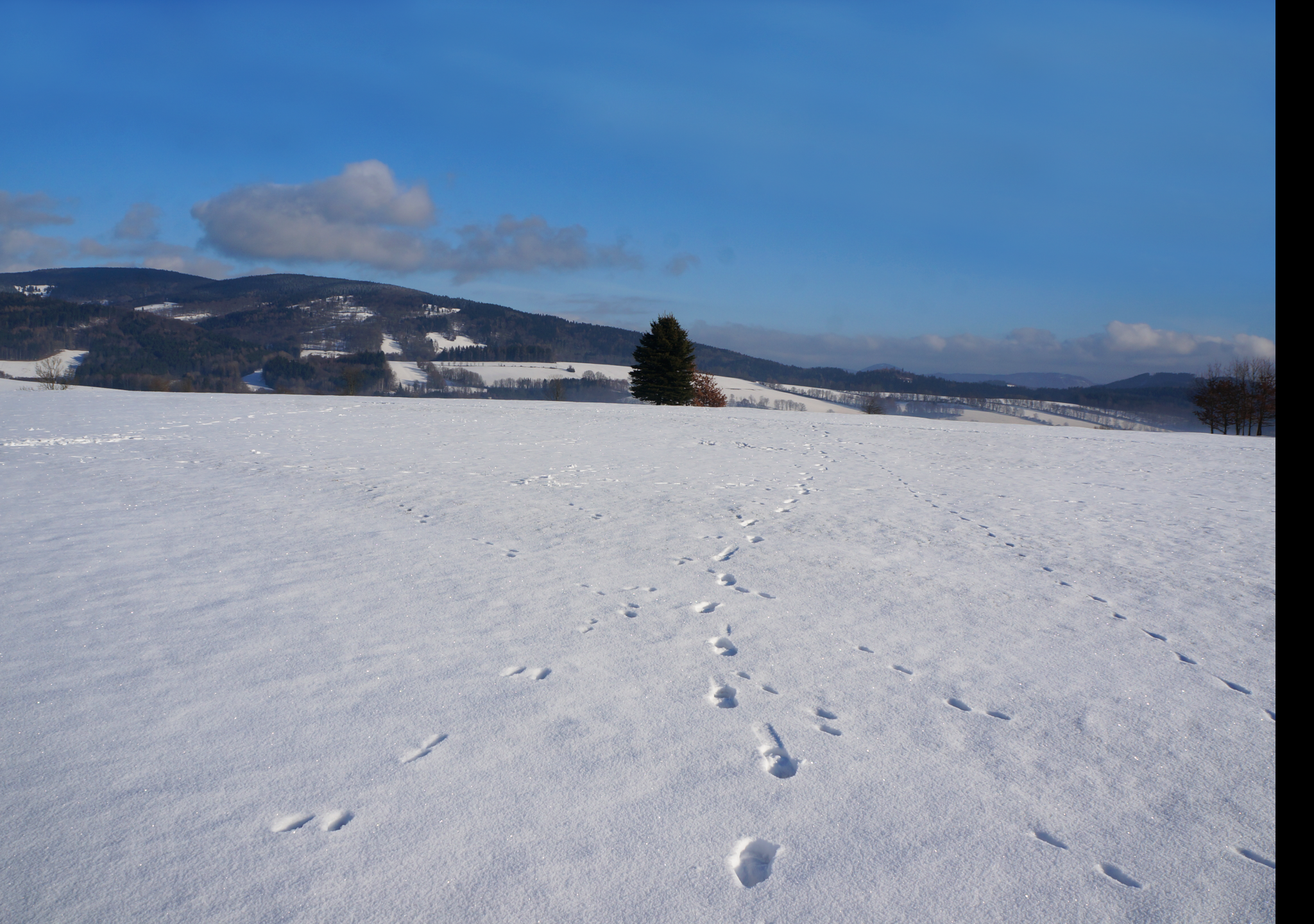 Tapeta zimni_krajina_krkonose