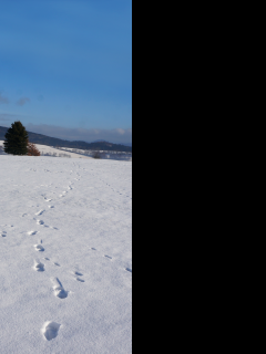 Tapeta zimni_krajina_krkonose