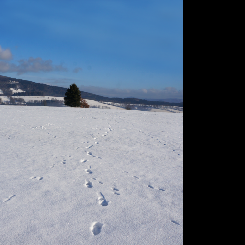 Tapeta zimni_krajina_krkonose