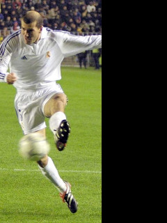 Tapeta zizuzidane2