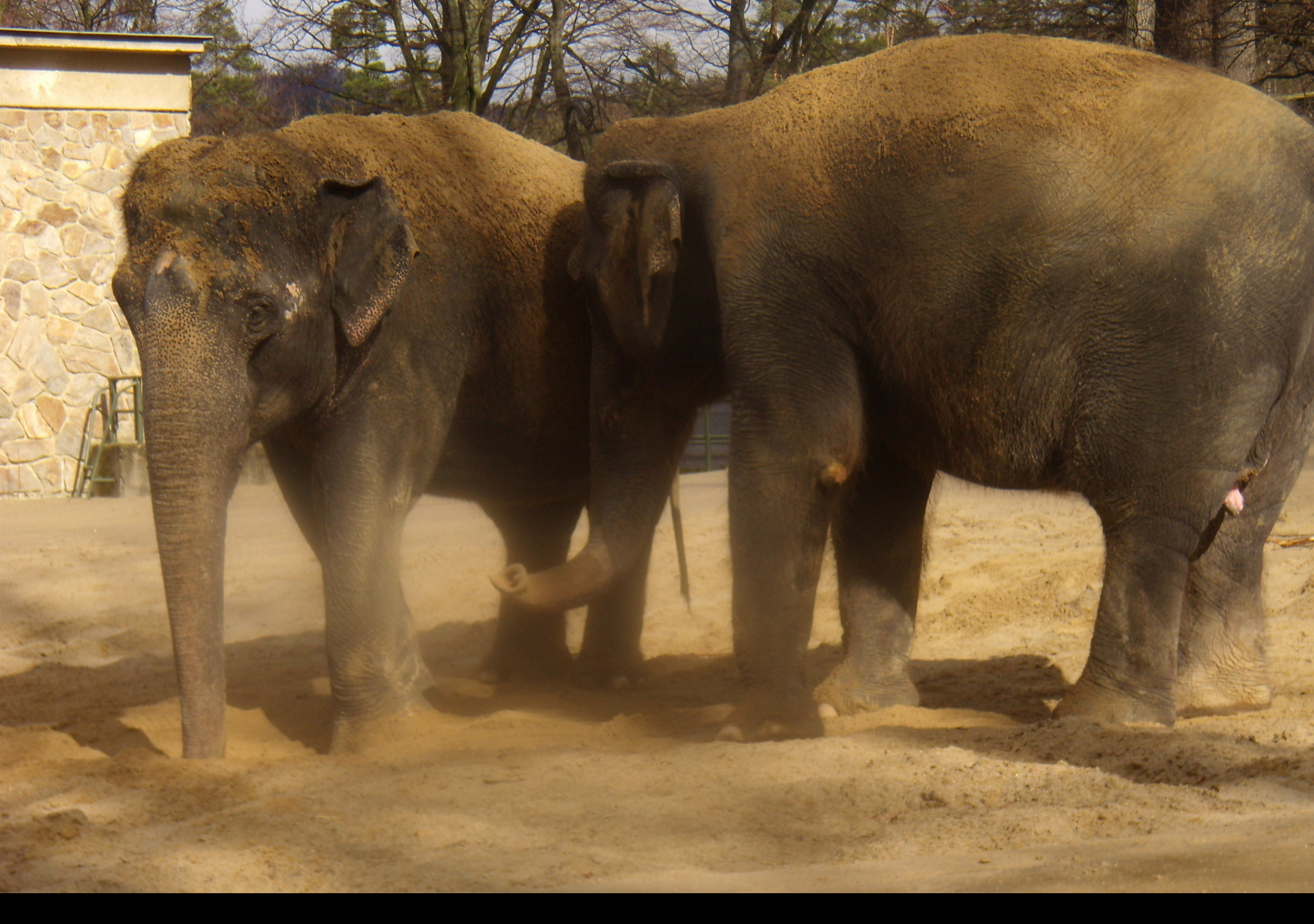 Tapeta zoo_liberec