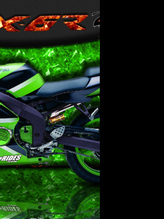 Tapeta zx6r_ninja