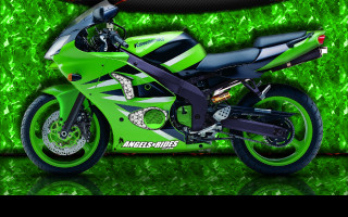 Tapeta zx6r_ninja