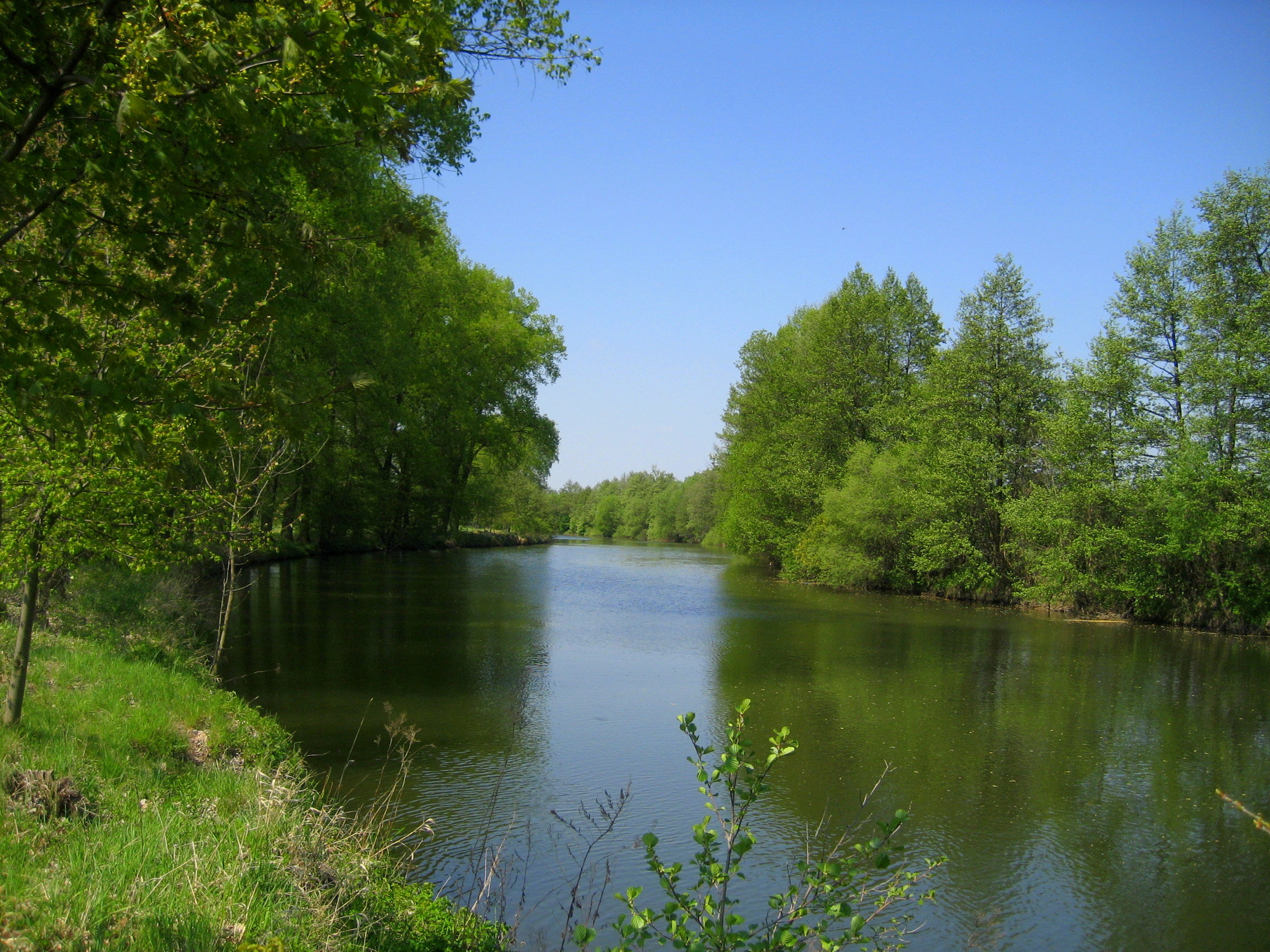 река лето river summer скачать